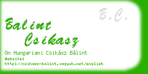 balint csikasz business card